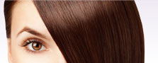  revlon, scholl, TONI&GUY, veet 