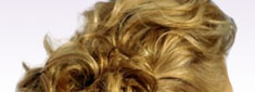 hair clips, sectioning clips