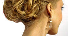 hair clips, sectioning clips