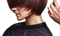 hair products online, salon hair care, hairdressing supply
