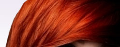  hair dye, shampoo for coloured hair