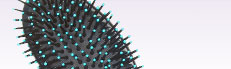  paddle brush