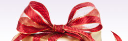 beauty gift, argan oil
