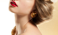 hair clip