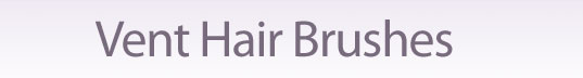  hairbrush