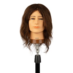 Dateline Professional David Mannequin