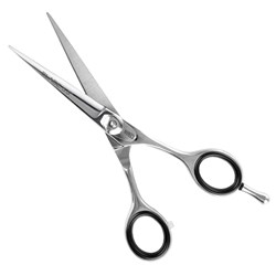 Iceman Blade Series 5.5" Hairdressing Scissors 