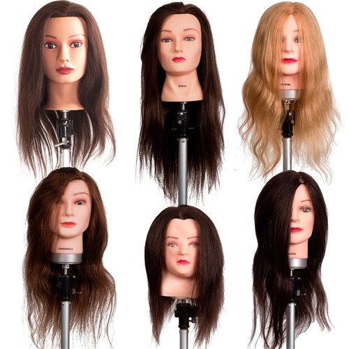 Dateline Professional Veronica Mannequin  