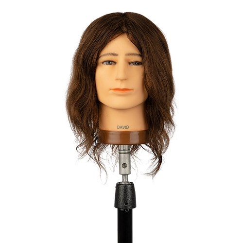 Dateline Professional David Mannequin