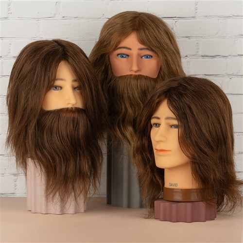 Dateline Professional David Mannequin